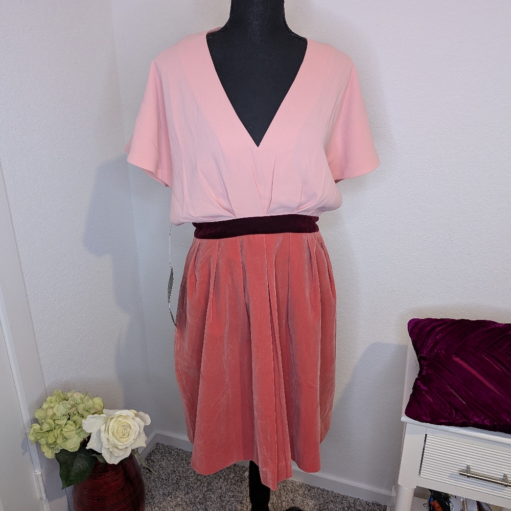 💘 Pink Velvet Pomander Place Dress (Tuckernuck) - Picture 2 of 6